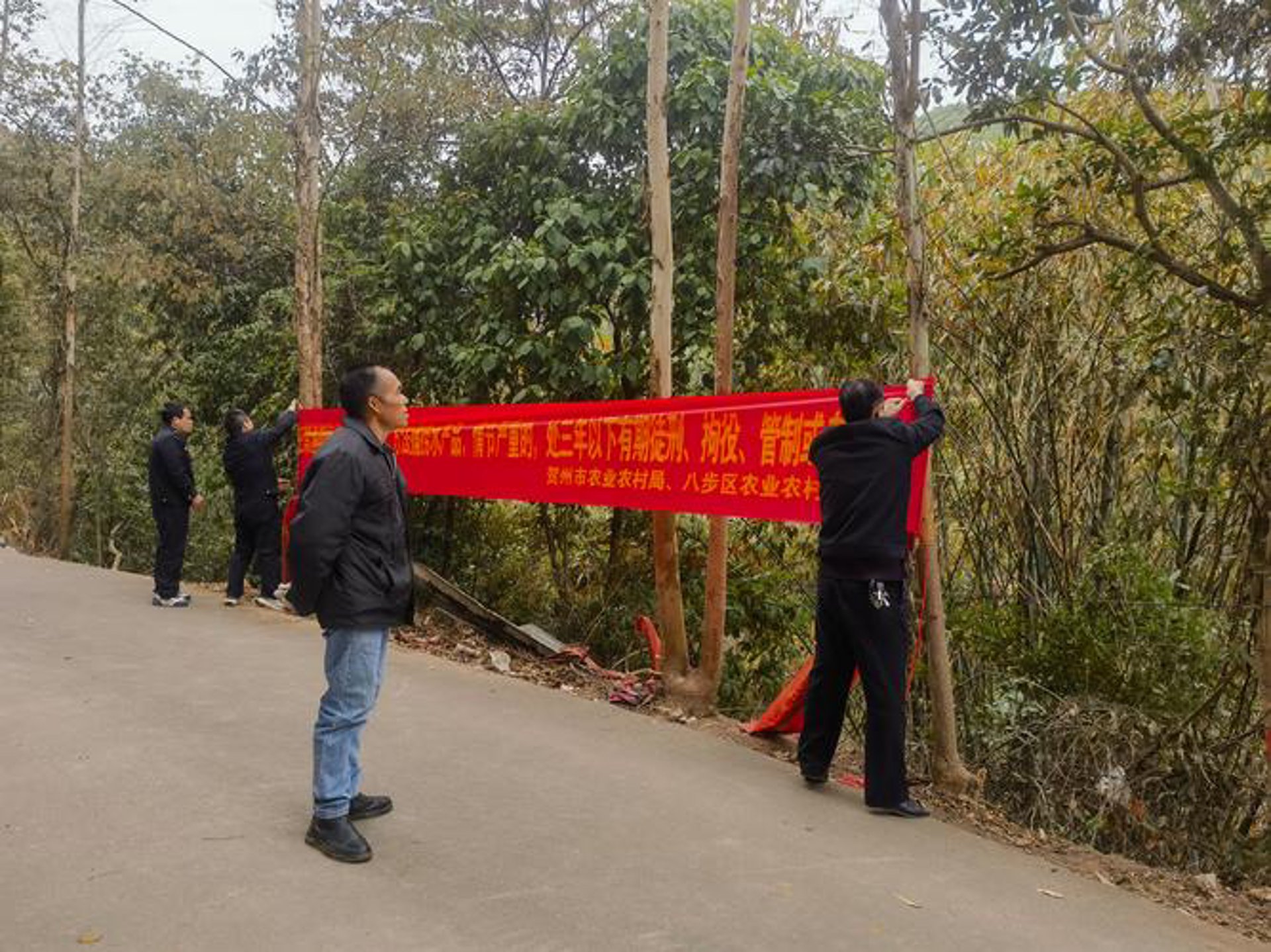 萧县老百姓农场